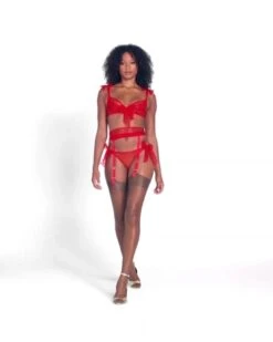Porte-jarretelles Agent Provocateur Danika -Sous Vêtement Soldes porte jarretelles agent provocateur danika rouge 2