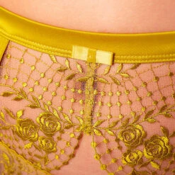 Porte-jarretelles 6 Attaches Dita Von Teese Julie's Roses -Sous Vêtement Soldes porte jarretelles dita von teese julie s roses vert citron 5